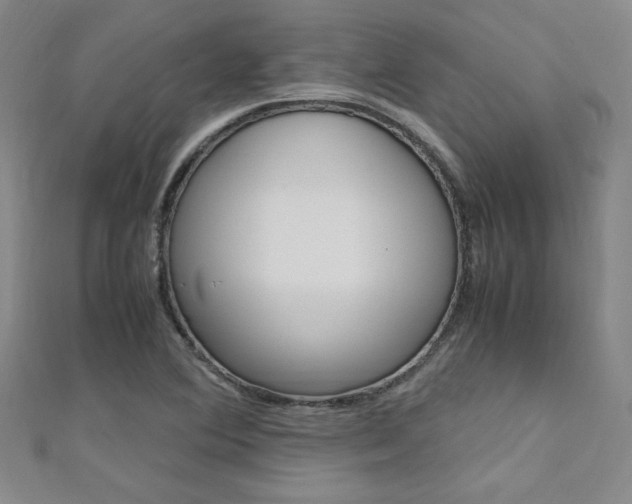 X0000111651364200907171050