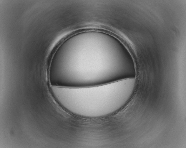 X0000111651368200907171050