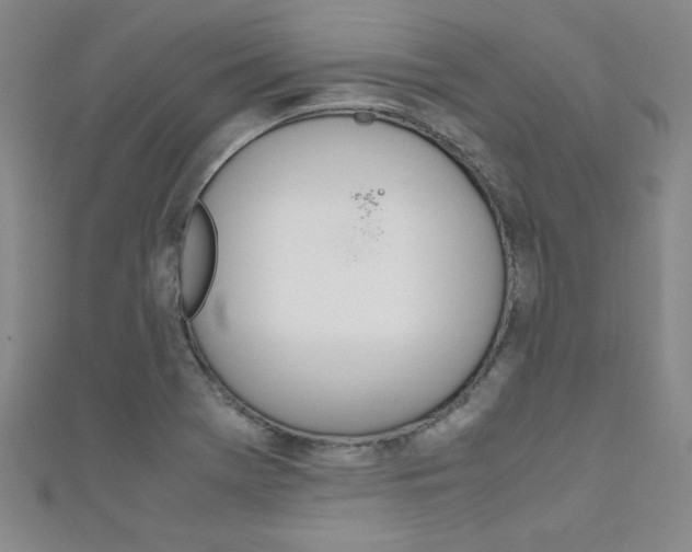 X0000111651369200907171050