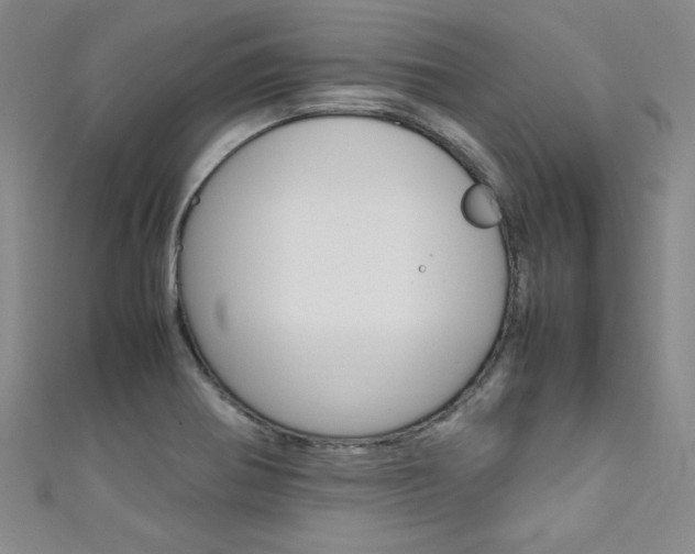 X0000111651370200907171050