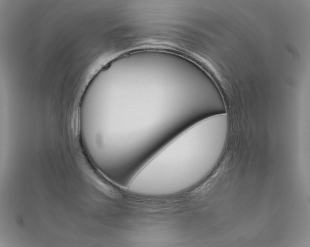 X0000111651371200907171050