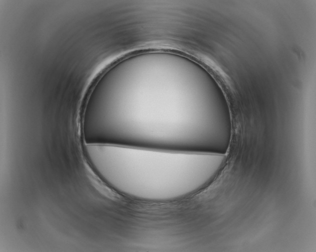 X0000111651372200907171050
