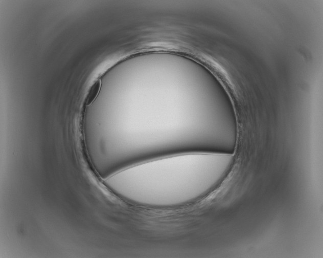 X0000111651373200907171050