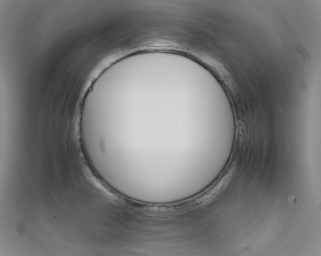 X0000111651374200907171050