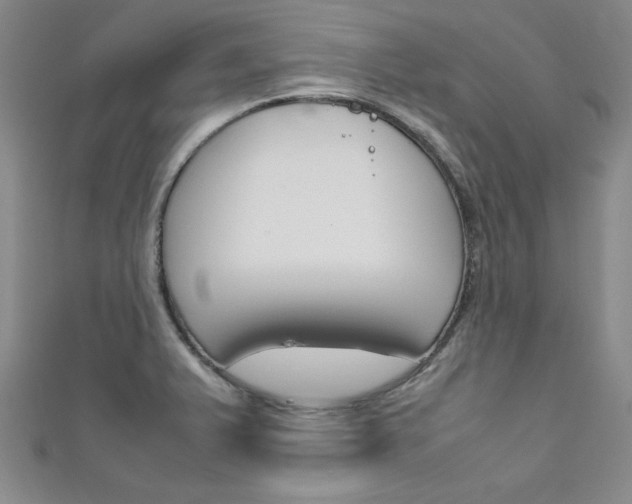 X0000111651375200907171050