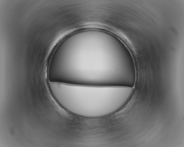 X0000111651376200907171050