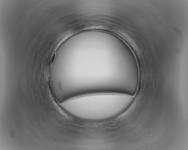 X0000111651377200907171050