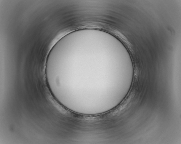 X0000111651378200907171050