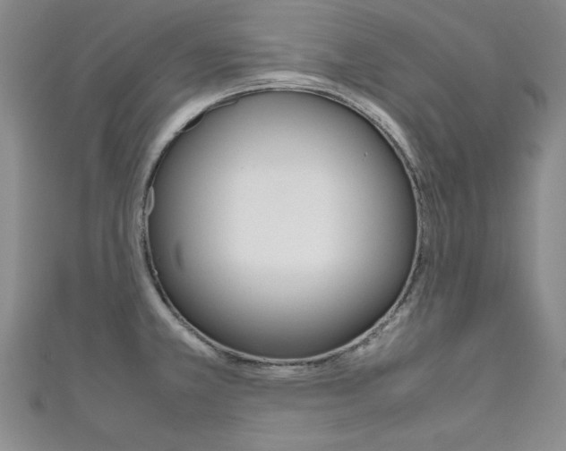 X0000111651381200907171050