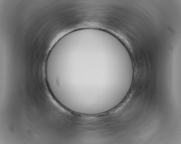 X0000111651382200907171050