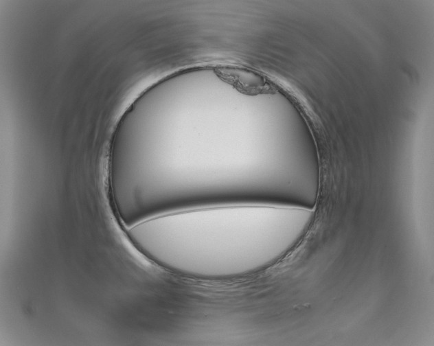 X0000111651383200907171050