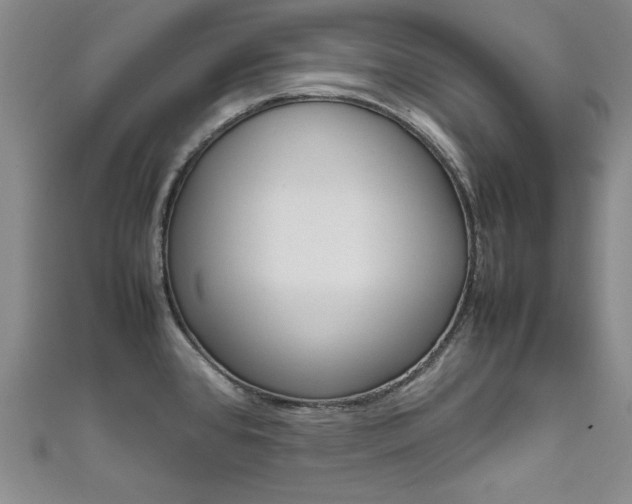X0000111651384200907171050