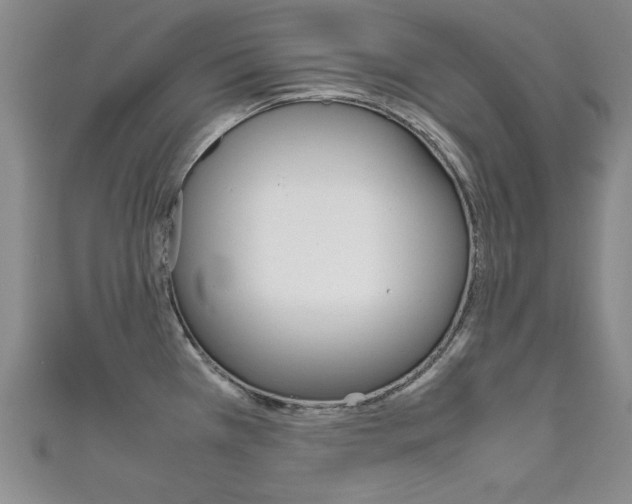 X0000111651385200907171050
