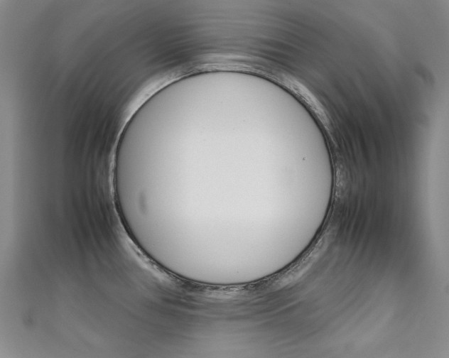 X0000111651386200907171050