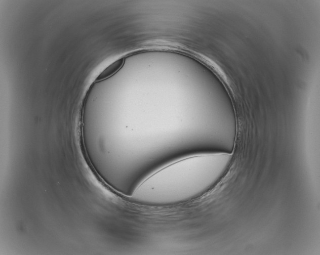X0000111651387200907171050