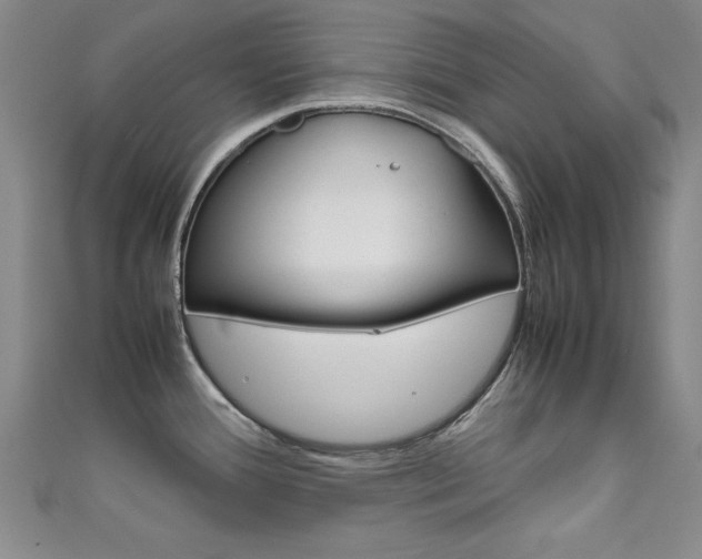 X0000111651388200907171050