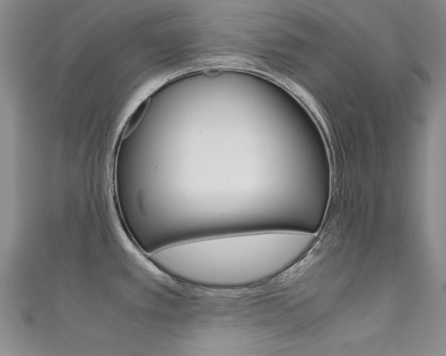 X0000111651389200907171050