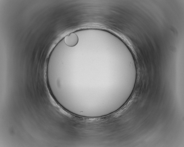 X0000111651390200907171050