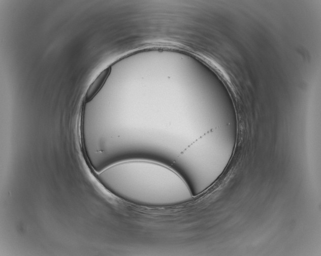 X0000111651391200907171050