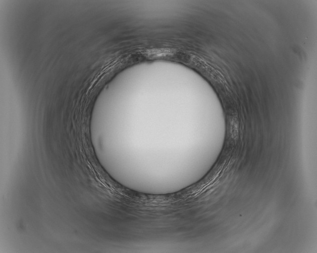 X0000111651393200907171049