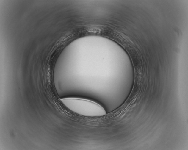 X0000111651394200907171049
