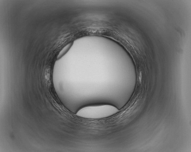 X0000111651396200907171049