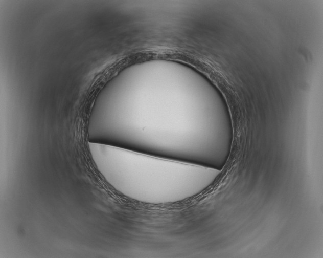 X0000111651398200907171049