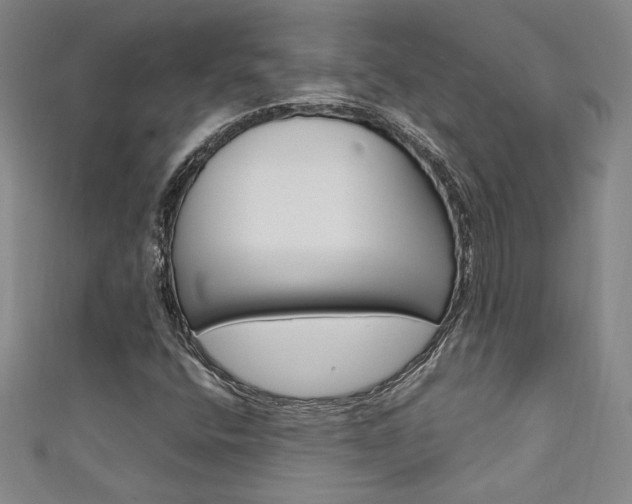X0000111651400200907171049