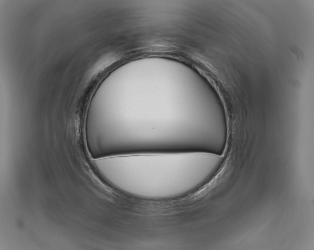 X0000111651402200907171049