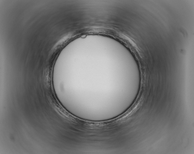 X0000111651403200907171049