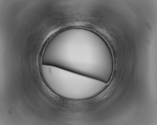 X0000111651404200907171049