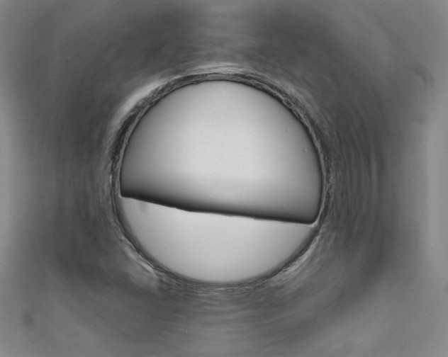 X0000111651406200907171049