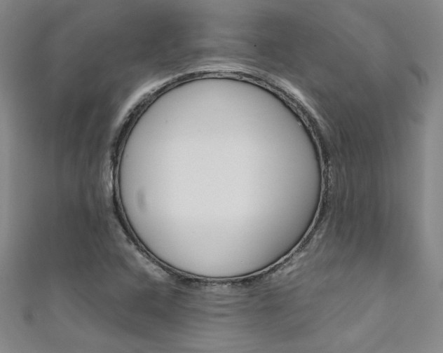 X0000111651408200907171049