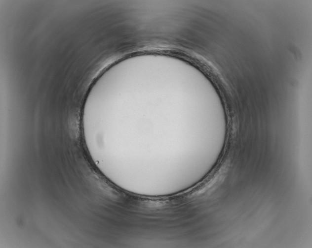 X0000111651409200907171049