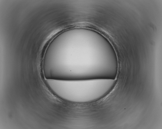 X0000111651410200907171049