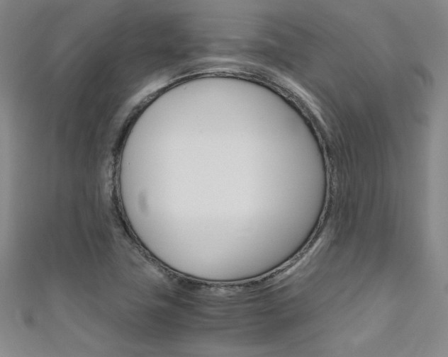 X0000111651411200907171049