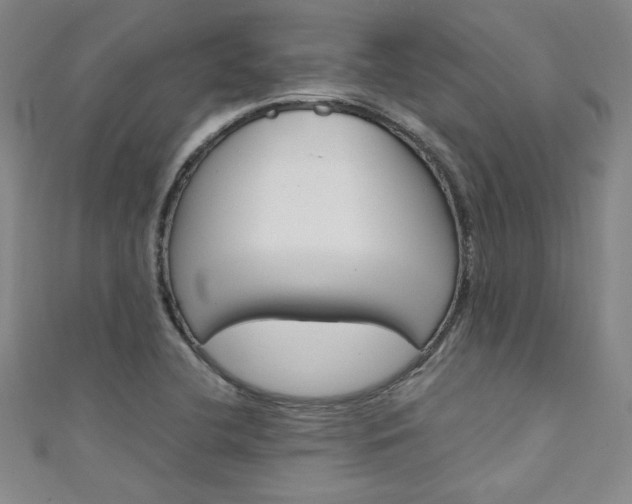 X0000111651412200907171049
