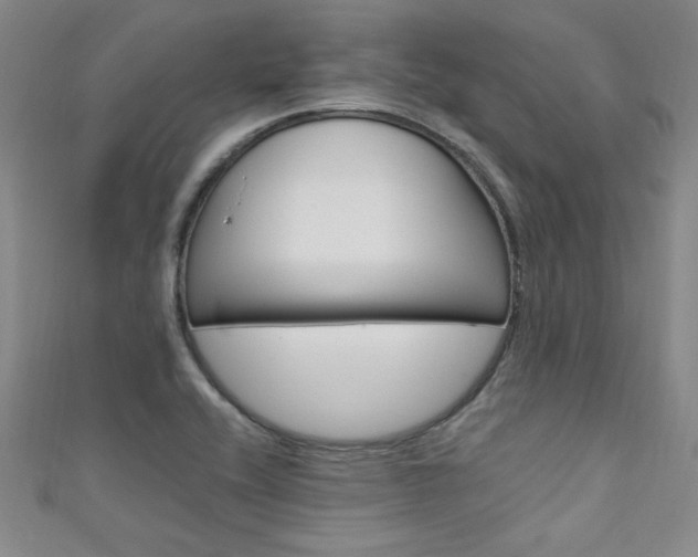 X0000111651416200907171049
