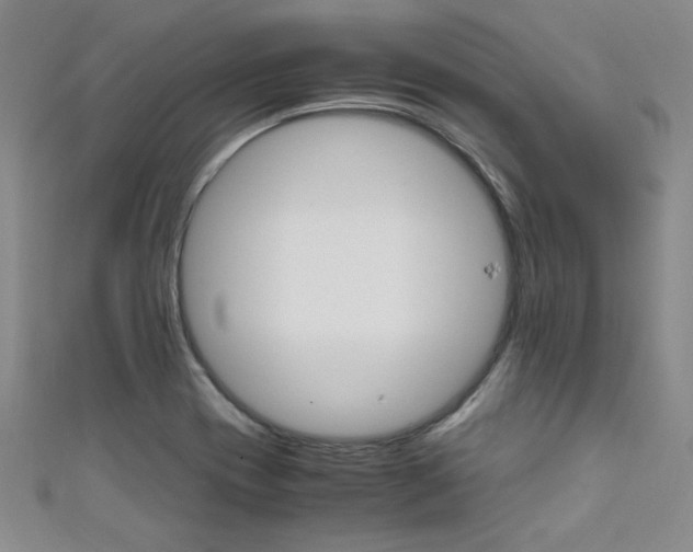X0000111651417200907171049