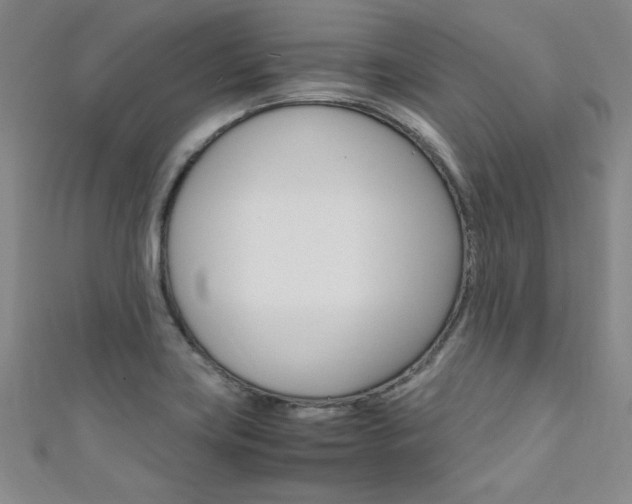 X0000111651419200907171049