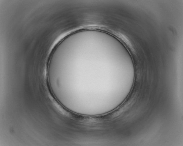X0000111651420200907171049