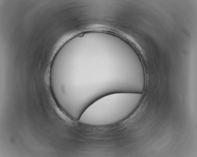 X0000111651421200907171049