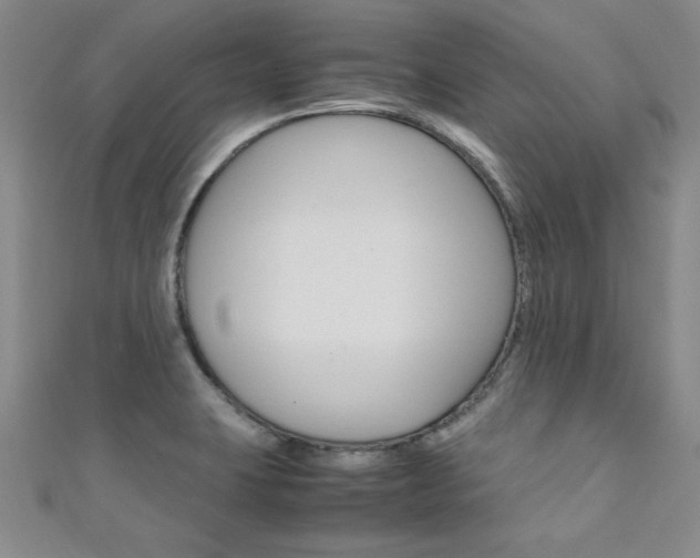 X0000111651423200907171049