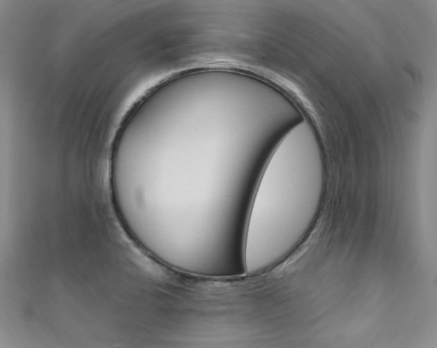 X0000111651424200907171049