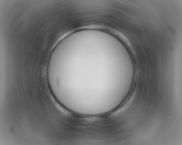 X0000111651425200907171049