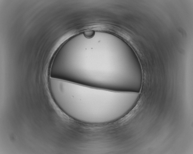X0000111651426200907171049