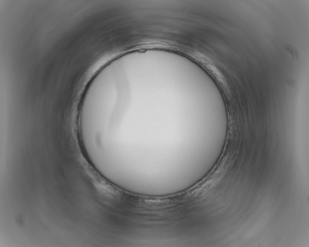 X0000111651427200907171049