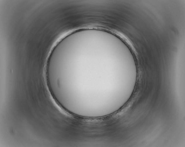 X0000111651429200907171049