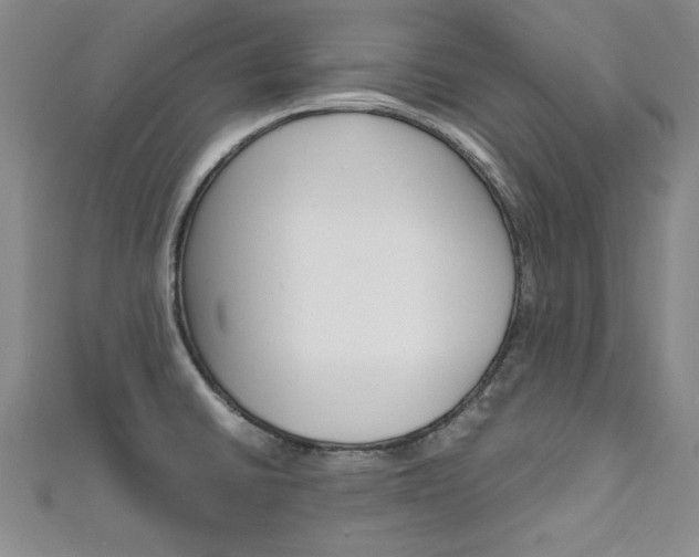 X0000111651430200907171049