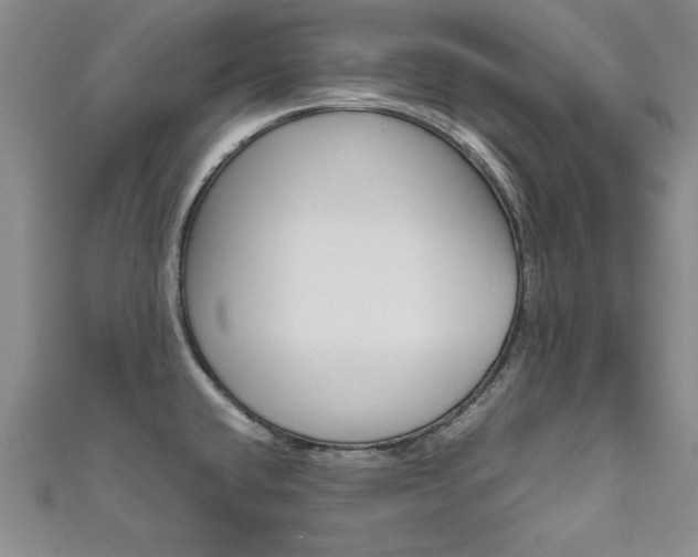 X0000111651432200907171049